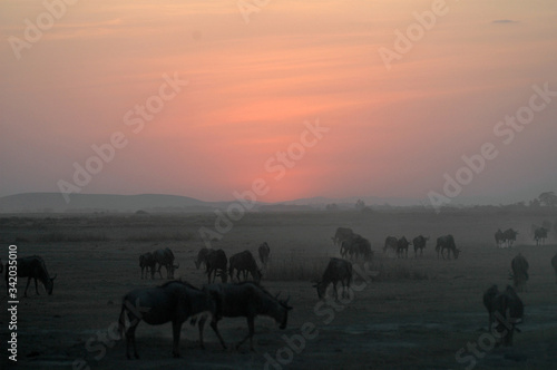 tramonto africano