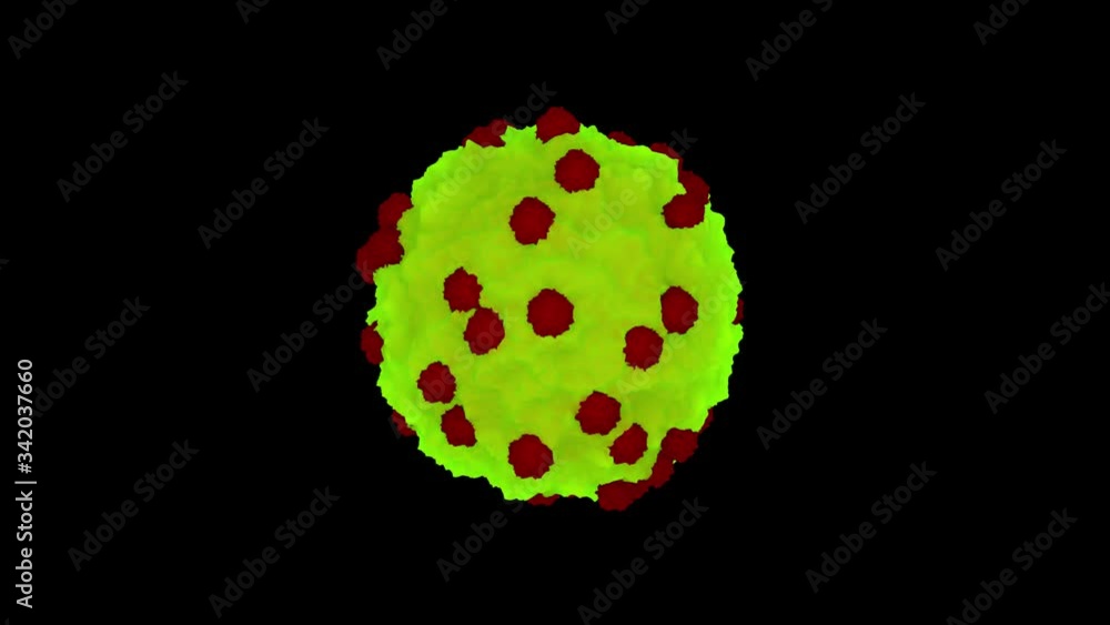 Coronavirus 360° rotating with alpha matte 3d rendering 3d illustration Coronavirus 360° rotating with alpha matte 3d rendering 3d illustration