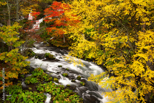 River and waterfall in autumn forest