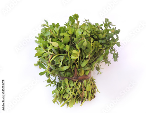 Leafy vegetable- Water hyssop or Indian pennywort. Scientific name- Bacopa monnieri. In India, it is known as Brahmi and consumed as vegetable. In Ayurvedic medicine, it is used to improve memory. photo