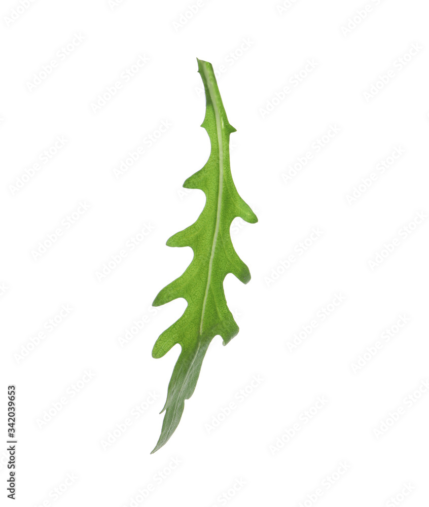 Leaf of fresh arugula isolated on white Leaf of fresh arugula isolated on white