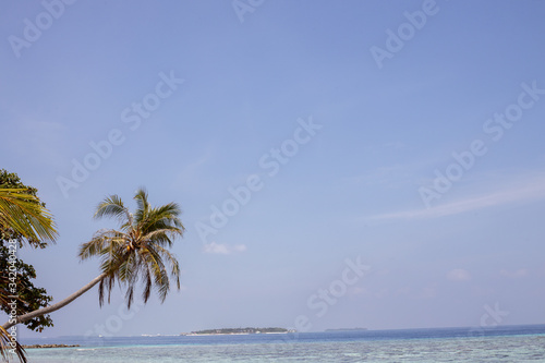 Tropical paradise amazing beach with white sand  turquoise ocean  coconut palms and blue-sky background. Concept of travel tourism.
