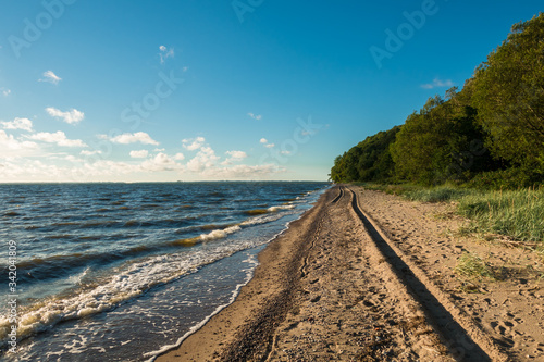 Car traces on the seashore, the summer of 2016. It's shot was made on the coast of the Baltic Sea, near ruins of the castle "Balga", Koenigsberg region