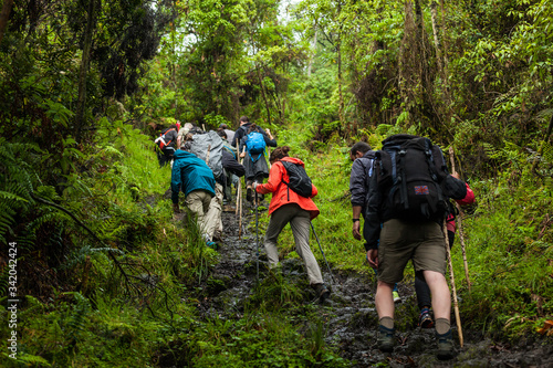 Democratic Republic of Congo - March 10, 2018. A group of people hiking up the volcano in Virunga Park