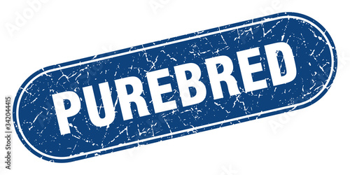 purebred sign. purebred grunge blue stamp. Label
