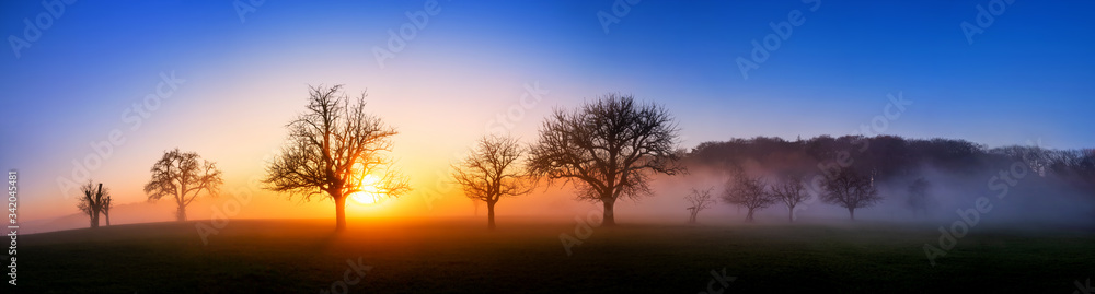Extra wide sunset panorama, a minimalistic beautiful landscape with a few bare trees and wafts of mist, deep blue sky and vibrant colors of the sun Extra wide sunset panorama, a minimalistic beautiful landscape with a few bare trees and wafts of mist, deep blue sky and vibrant colors of the sun