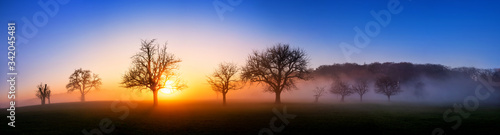 Extra wide sunset panorama, a minimalistic beautiful landscape with a few bare trees and wafts of mist, deep blue sky and vibrant colors of the sun