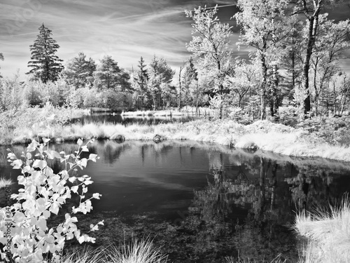 wetland wenger moor near wallersee, salzburg, austria, infrared
recording photo