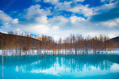 春はじめ青の池