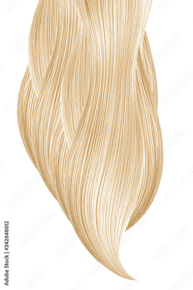 Blonde hair on white, isolated Blonde hair on white, isolated