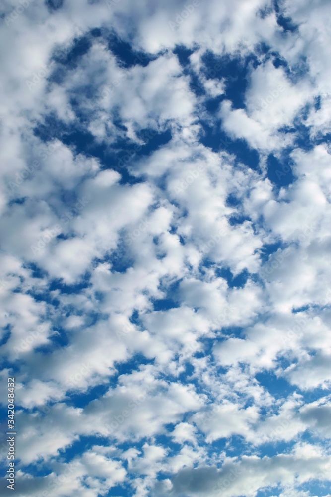 White, fluffy altocumulus clouds on a clean, blue summer sky. White, fluffy altocumulus clouds on a clean, blue summer sky.