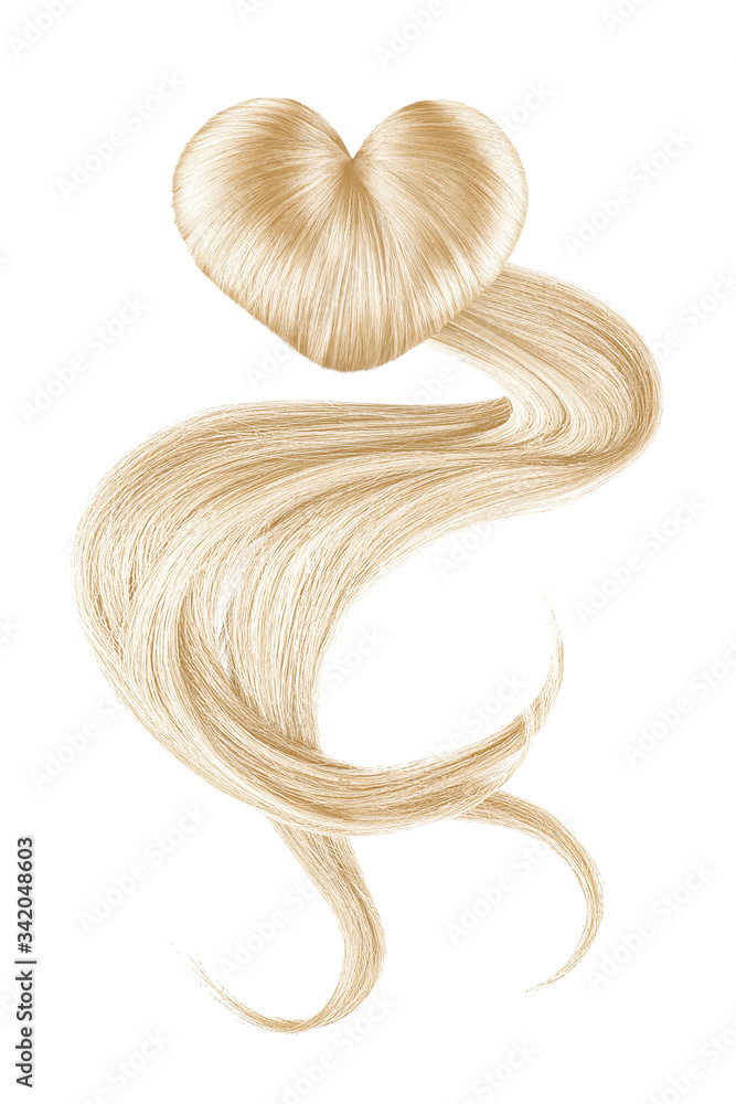 Hair heart on white, isolated. Blonde doughnut bun Hair heart on white, isolated. Blonde doughnut bun