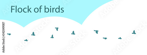 A flock of small passerine or forest birds against the sky. Vector isolated illustration.
