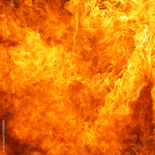 blaze fire flame conflagration texture background in square ratio