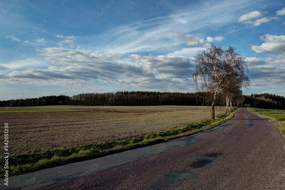 Fototapeta premium road to the sky