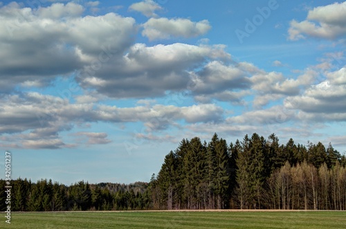 landscape with trees