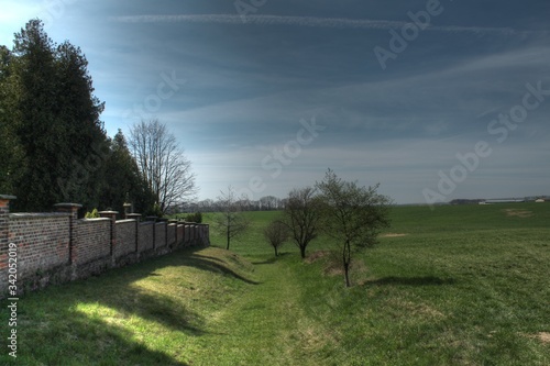 landscape with trees