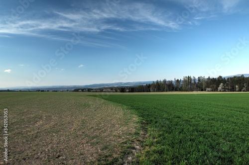 field and sky