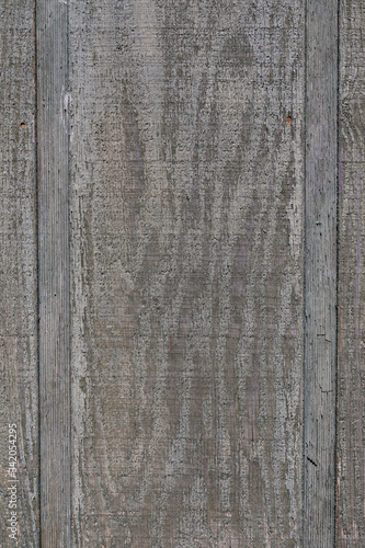 Gray weathered wood, rough texture background with peeling paint, vertical aspect