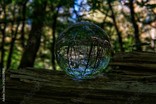 Lens Ball in the woods