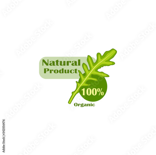 Natural product - beautiful color flat vector illustration with arugula.