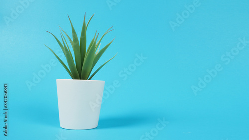 Artificial cactus plants or plastic or fake tree on blue background.