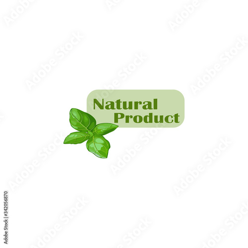  Beautiful, color - flat vector logo natural product with mint leaves isolated. Organic and vegan food logo
