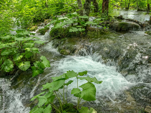 Εκτύπωση καμβά waterfalls and streams in Plitvice Lakes National Park