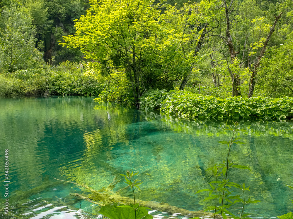 Small lake in the green summer forest with turquoise water Small lake in the green summer forest with turquoise water