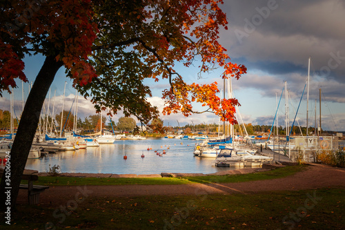 Kotka, Finland - Autumn Park 