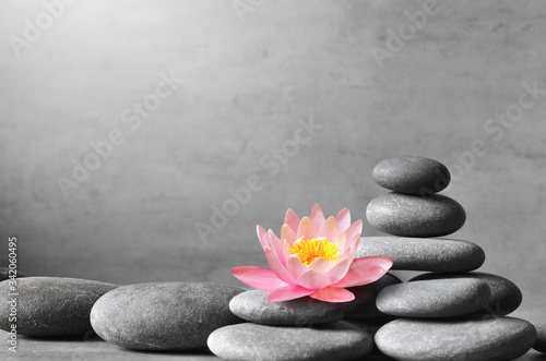 Photography Stack of grey massage stones on grey background and lotus flower.