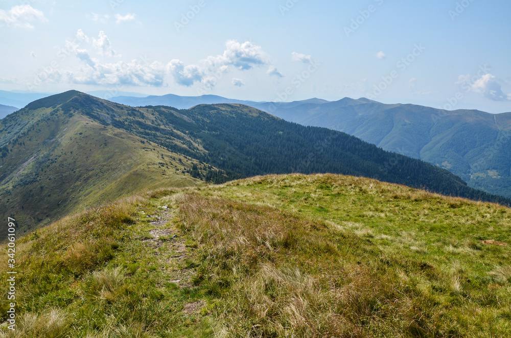 View from the top of Carpathian Mountains, grassy meadow of a hillside under the blue sky with clouds in summer day, Ukraine