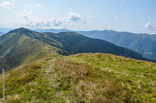 View from the top of Carpathian Mountains, grassy meadow of a hillside under the blue sky with clouds in summer day, Ukraine