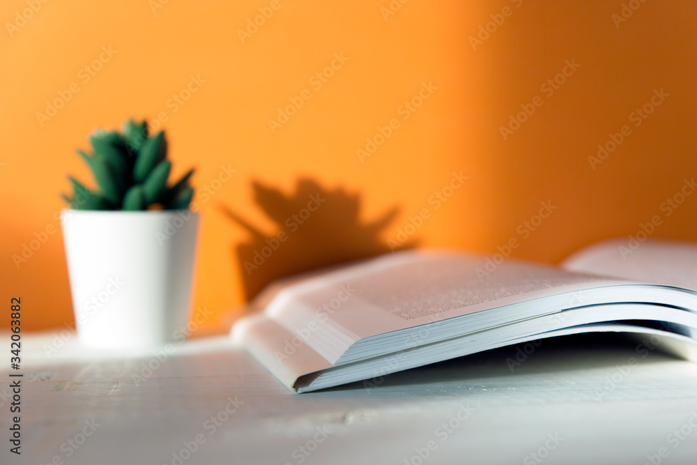 Fototapeta premium book on an orange background, flower, sun 