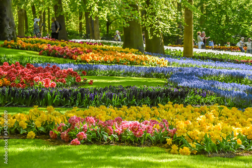 Parque floral de Keukenhof (Lisse, Holanda Meridional, Países Bajos) / Bloemenpark Keukenhof (Lisse, Zuid-Holland, Nederland) Campo de flores de varios colores photo