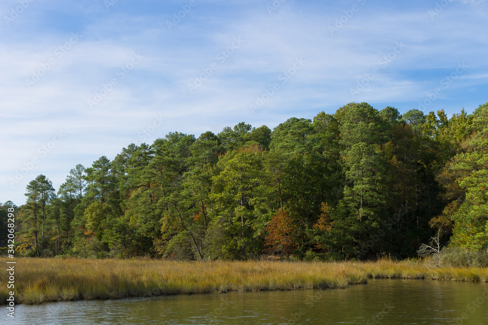 Early autumn along the banks of the Chesapeake Bay Early autumn along the banks of the Chesapeake Bay