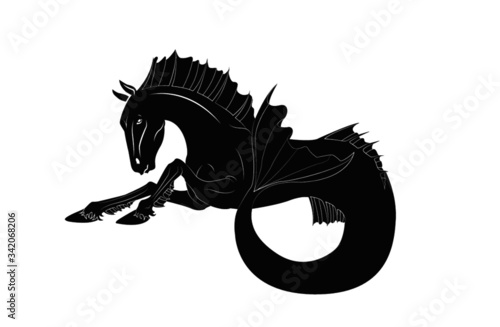 Hippocampus seahorse