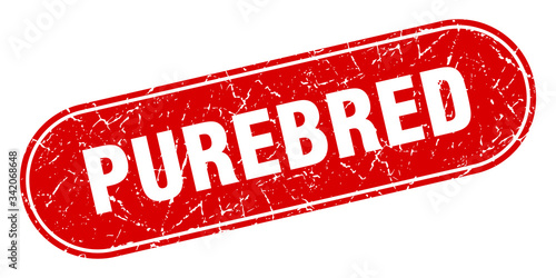 purebred sign. purebred grunge red stamp. Label