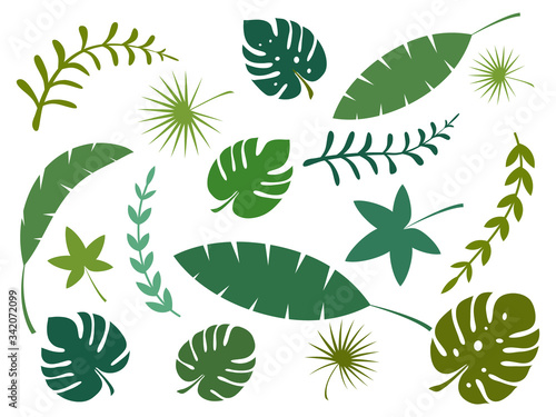 Set of tropical leaves vector illustration isolated on white background.