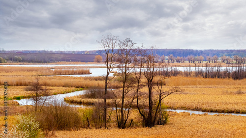 Spring landscape with trees on the shore winding river and cloudy sky