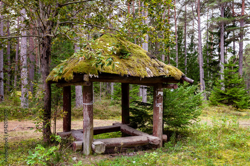 Covered by moss tourist roof shelter in woodland. Building looks like house from fairy tale in forest.