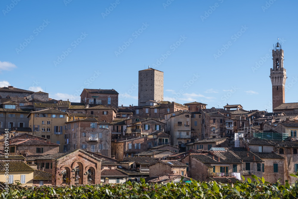 View of Siena cityscape (Tuscany, Italy).