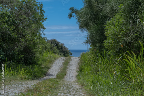 Fototapeta Naklejka Na Ścianę i Meble -  Path to the sea of paving stones along trees and bushes. Way to the ocean.