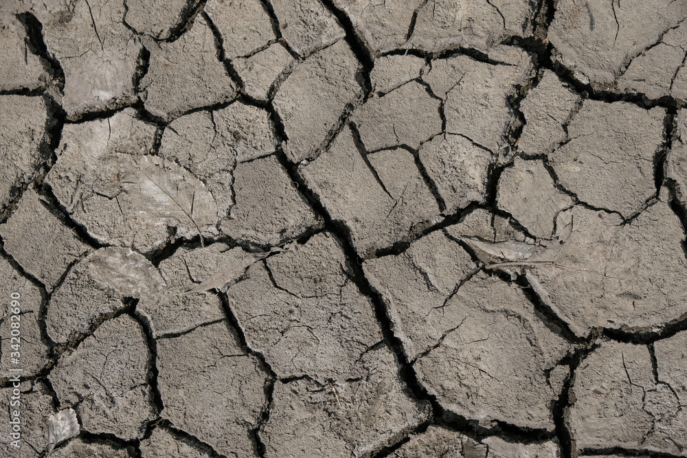 Natural soil texture. Dehydration of soil. Environmental disaster in Ukraine. Natural soil texture. Dehydration of soil. Environmental disaster in Ukraine.