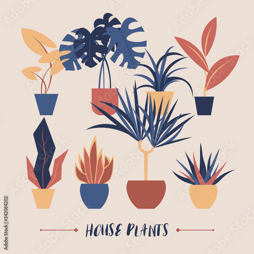 Set of house plants in pots for decoration  gardening  plant care  advertising.