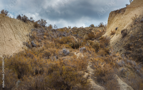 From below dry shrubs covering rough slope of mountain ridge against overcast sky in Algeciras, Spain photo