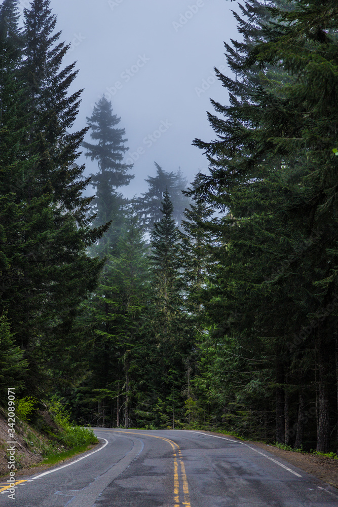 A Lonely Long Road with a Stunning Scenic Landscape View A Lonely Long Road with a Stunning Scenic Landscape View