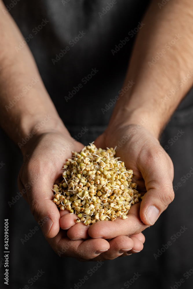 Crop male baker in black apron holding whole wheat sprouts for healthy artisan bread Crop male baker in black apron holding whole wheat sprouts for healthy artisan bread