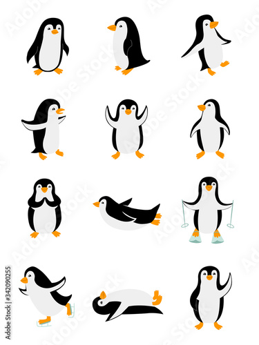 Set of little penguins in different poses. Funny animals isolated on white background. Cartoon characters vector illustration