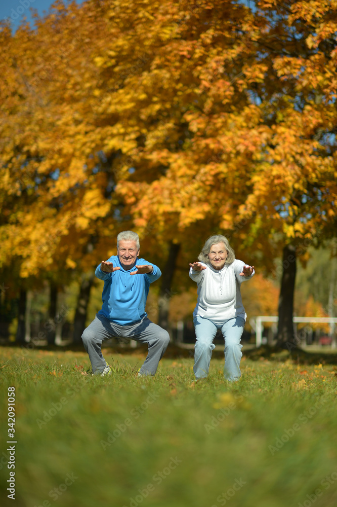 Portrait of fit senior couple exercising in park Portrait of fit senior couple exercising in park